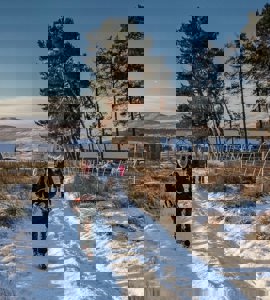 Title image for post